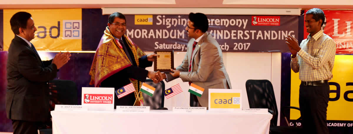 International Partnerships